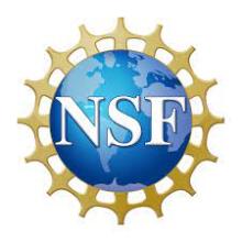 NSF Logo